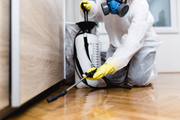 Best Pest Control Cost  in Mountain Lakes, NJ