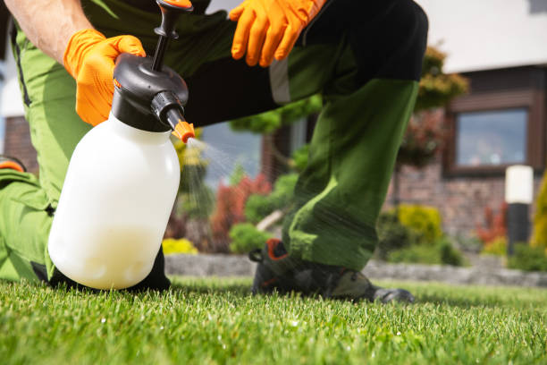 Best Rat Extermination Near Me  in Mountain Lakes, NJ