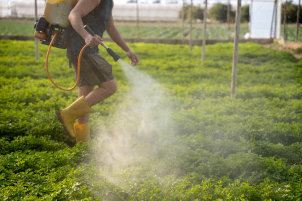 Best Affordable Pest Control Services  in Mountain Lakes, NJ