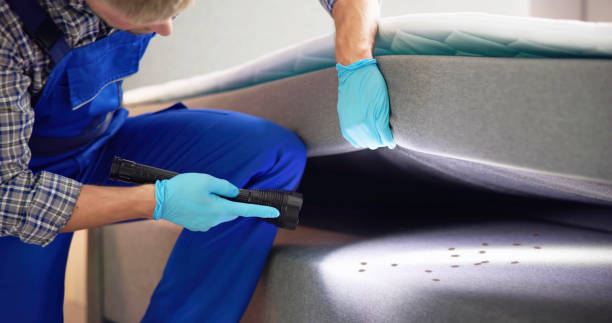 Best Flea Control Services  in Mountain Lakes, NJ