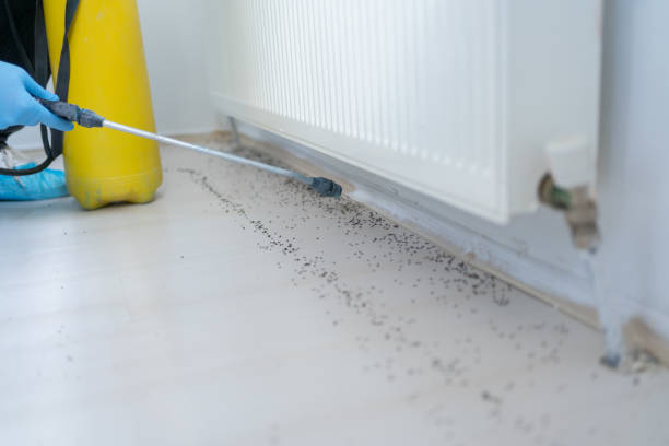 Best Pest Control Near Me  in Mountain Lakes, NJ