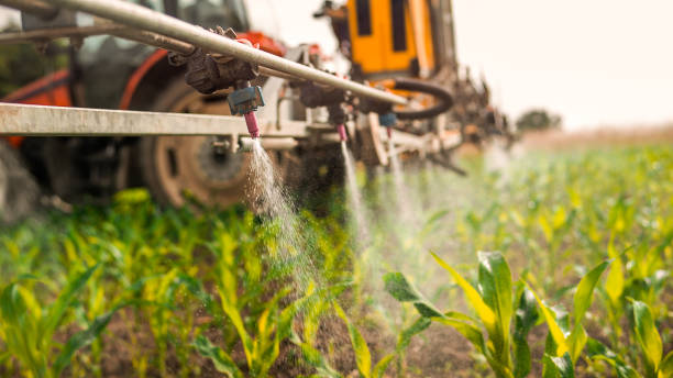 Pest Control Cost in Mountain Lakes, NJ